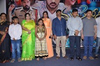 Manasainodu Movie Audio Launch